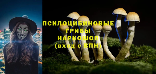 МДПВ Новокубанск