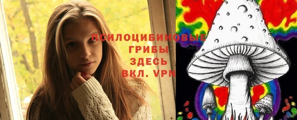 таблы Новозыбков